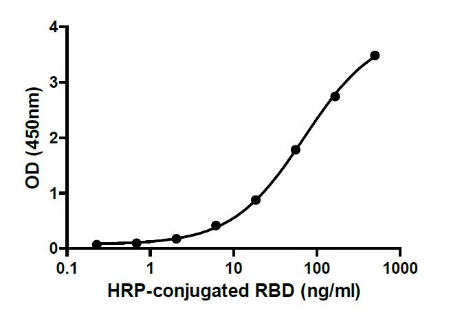 Binding ability measured in a functional ELISA. 2019-nCoV Spike protein RBD binds to immobilized human ACE2 (19-740) protein.